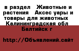  в раздел : Животные и растения » Аксесcуары и товары для животных . Калининградская обл.,Балтийск г.